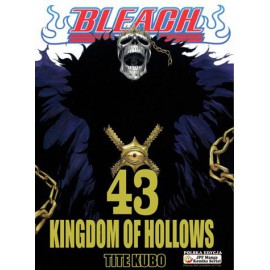 Manga Bleach - Tom 43