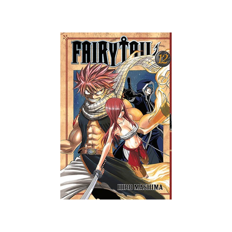 Manga - Fairy Tail tom 12