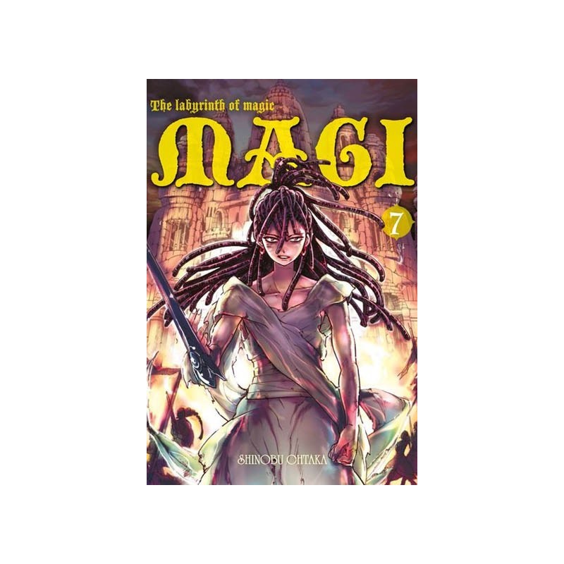 Magi: the labyrinth of magic - tom 7