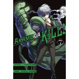 Manga - Akame ga Kill! tom 6