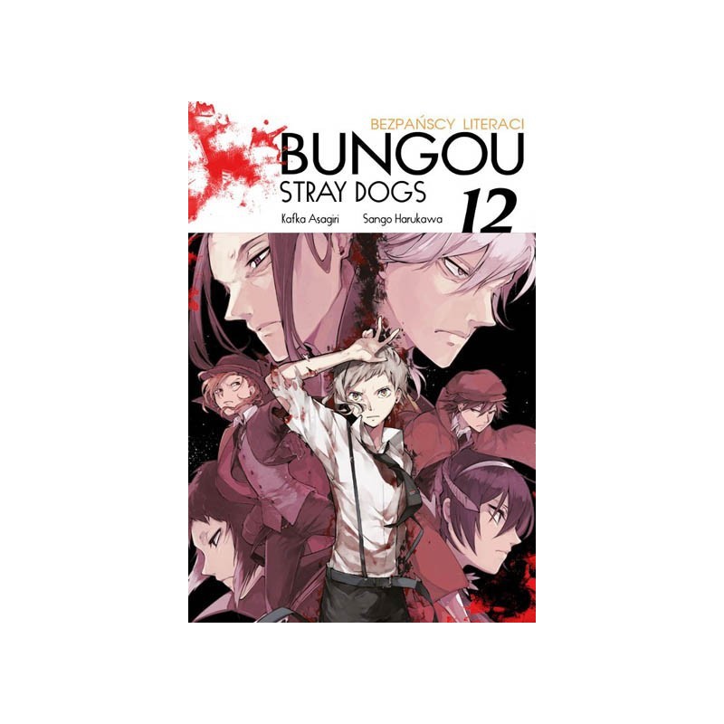 Manga - Bungou Stray Dogs tom 11